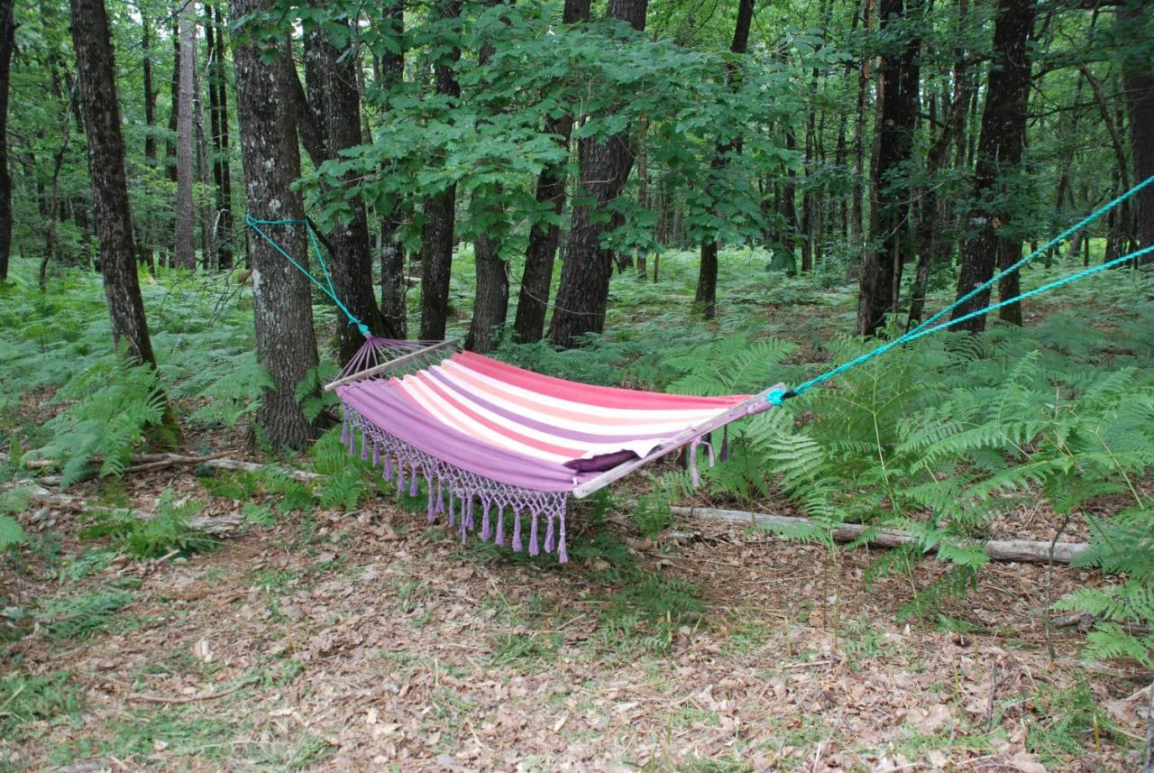 Camping Bois De St Hilaire Chalandray Exterior foto