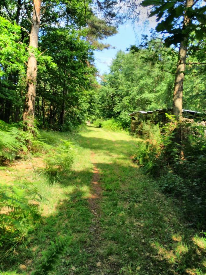 Camping Bois De St Hilaire Chalandray Exterior foto