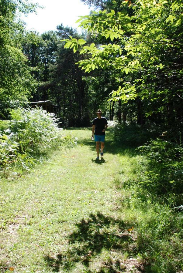 Camping Bois De St Hilaire Chalandray Exterior foto